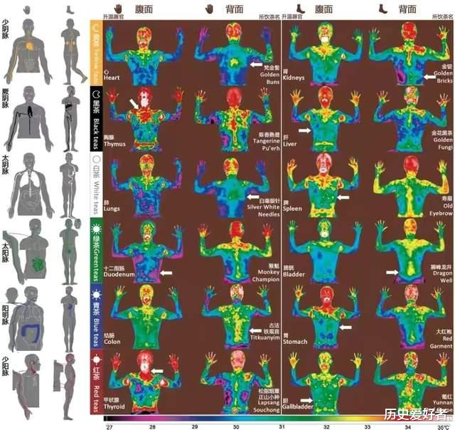 米糊|武术中的“经络”已科学证实