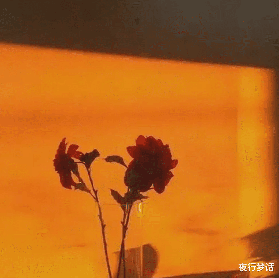 夜行梦话 说了再见的人，就再也不要见了
