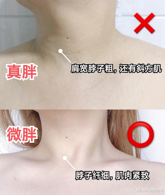 Mon巧搭时尚|你懂“胖”和“微胖”的区别吗？对照表来了，有这4个特点是真胖