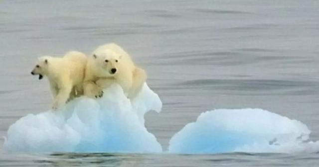 冰川期 全球变暖是个骗局？人类正处于“大冰期”，联合国发出警告