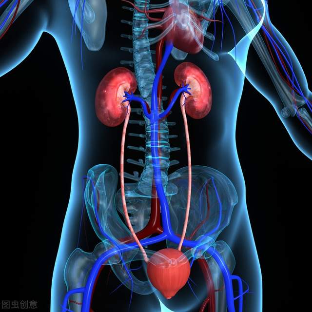 运动|权威医学期刊发布：肾衰诊断新标准，你是否属于肾衰？