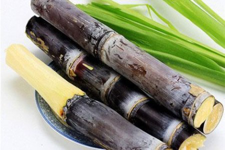 康缘生|四季养生饮食 这里都全了