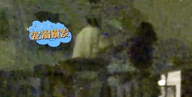 张含韵|张含韵佟梦实恋情疑曝光，牵着手回酒店，男方被指脾气不好口碑差
