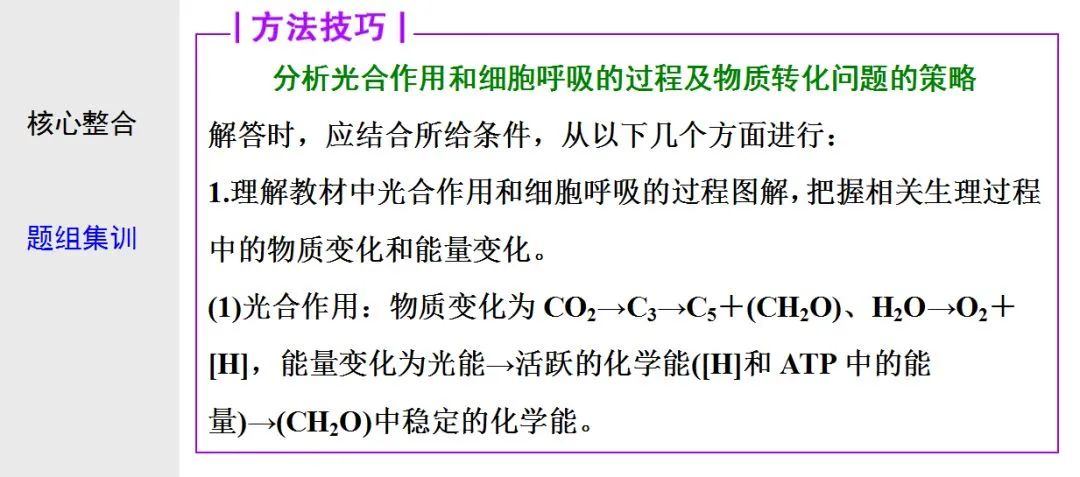 初中生物：光合作用与细胞呼吸知识点详解，快保存！