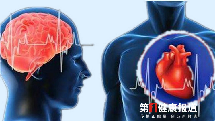 第一健康报道|聚焦心脑血管病高发 精准施策企业家健康