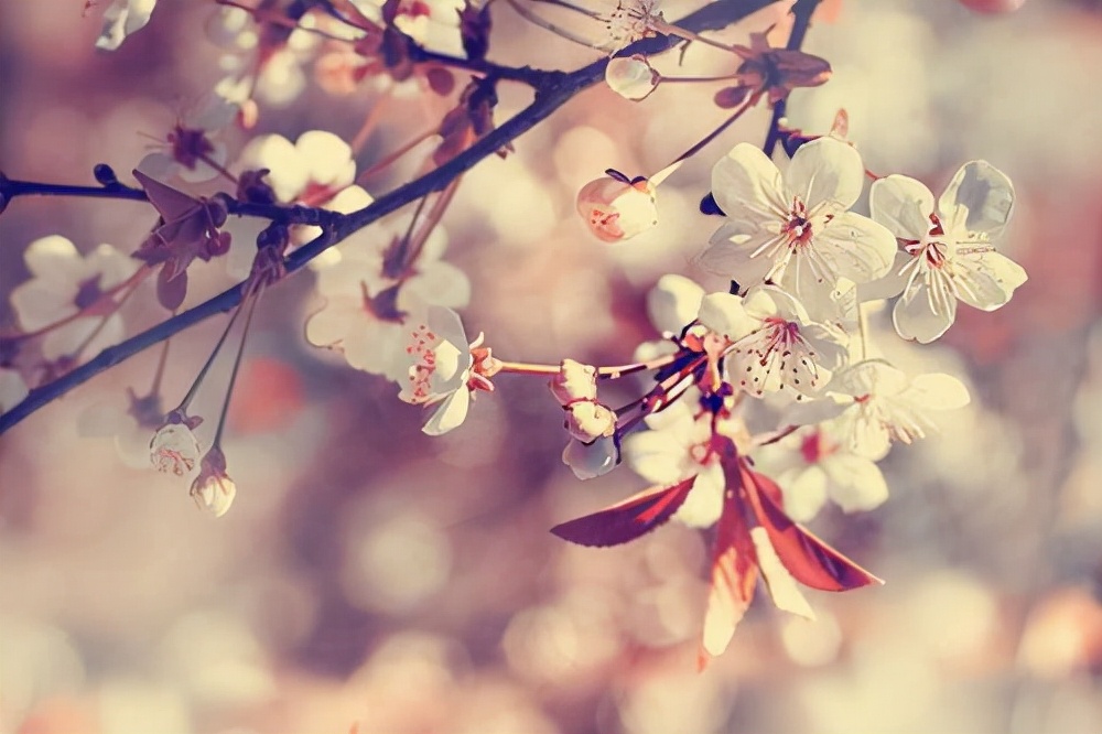 仲念念|做人有三忌,戒掉了,福气自然就来了