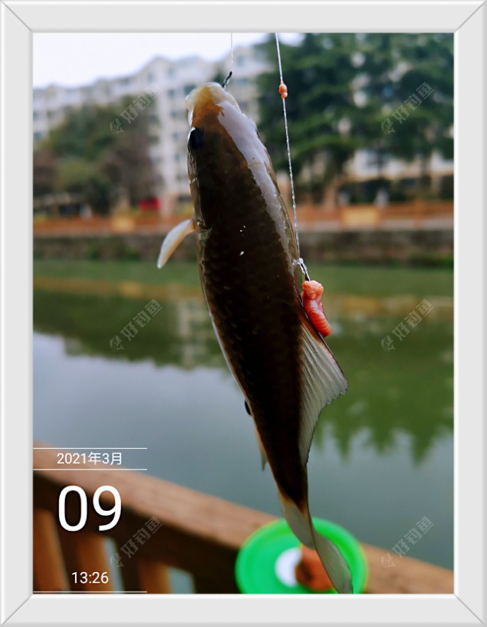 沙滩|早春同一窝点 不宜多次作钓