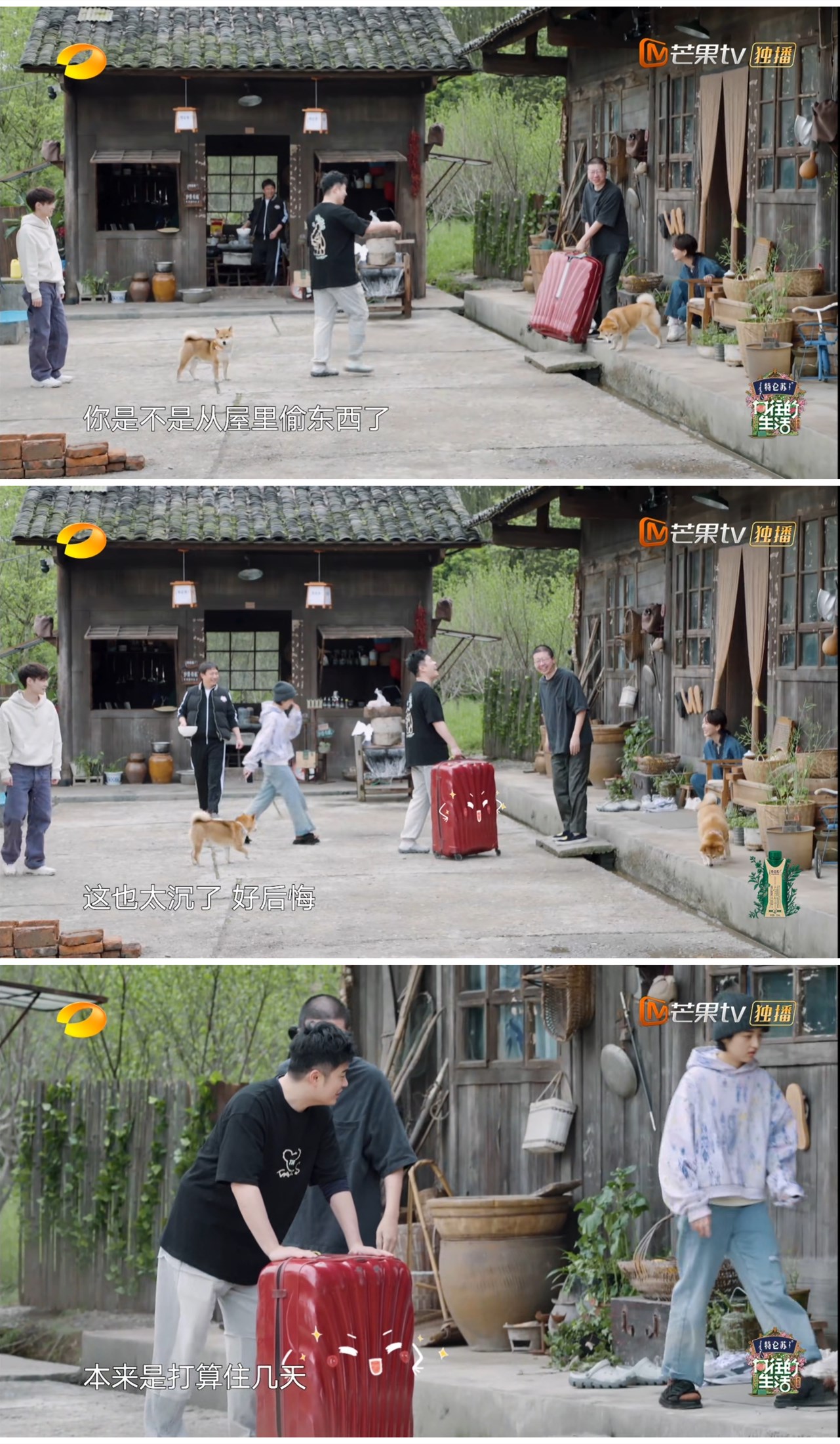 杨紫|尴尬！杨紫多次暗示想和张艺兴一样成为常驻嘉宾，黄磊装作没听见