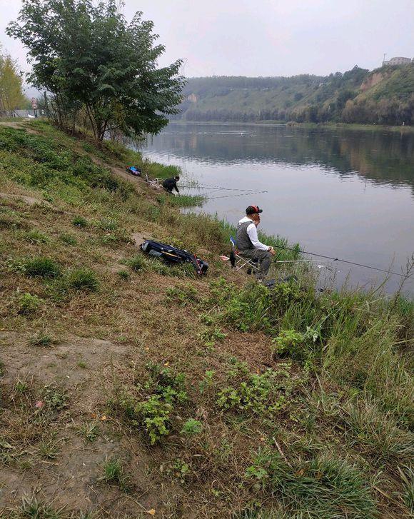 |钓友带了一瓶酒米，整个塘都是他的窝子！这种情况怎么办？