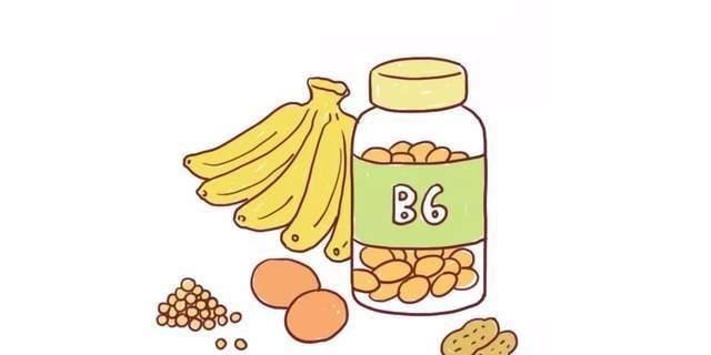 単純的愛|媳妇刚怀孕,哪些食物要多吃,哪些食物不能碰?在线等...