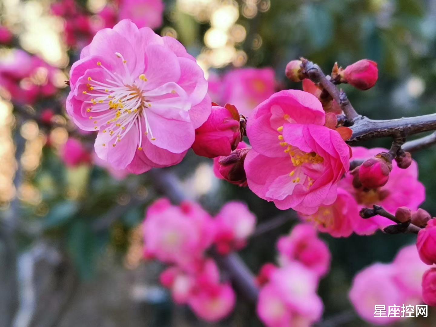 |啥月份出生之人，担得起责任，做得了大事，12月即将飞黄腾达