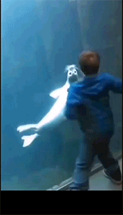 萌控孩|“哥们，你是不是忽略了车窗是透明的？别以为没人看得见！”哈哈