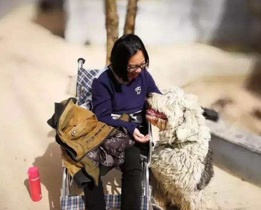蜗牛研究僧|他带绝症女友私奔，推轮椅6年跨足2000公里