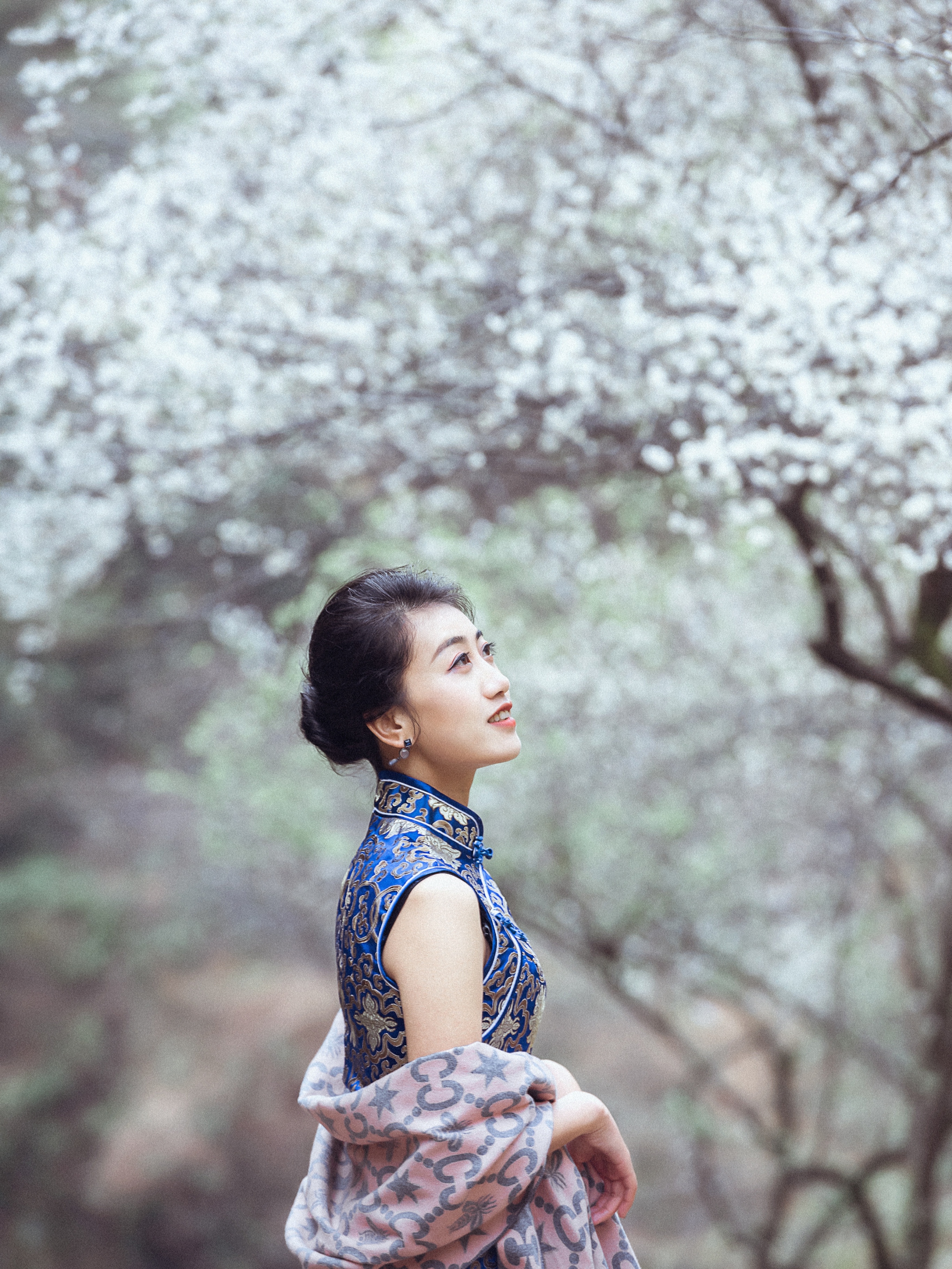 |一丝浅墨，曼妙春光