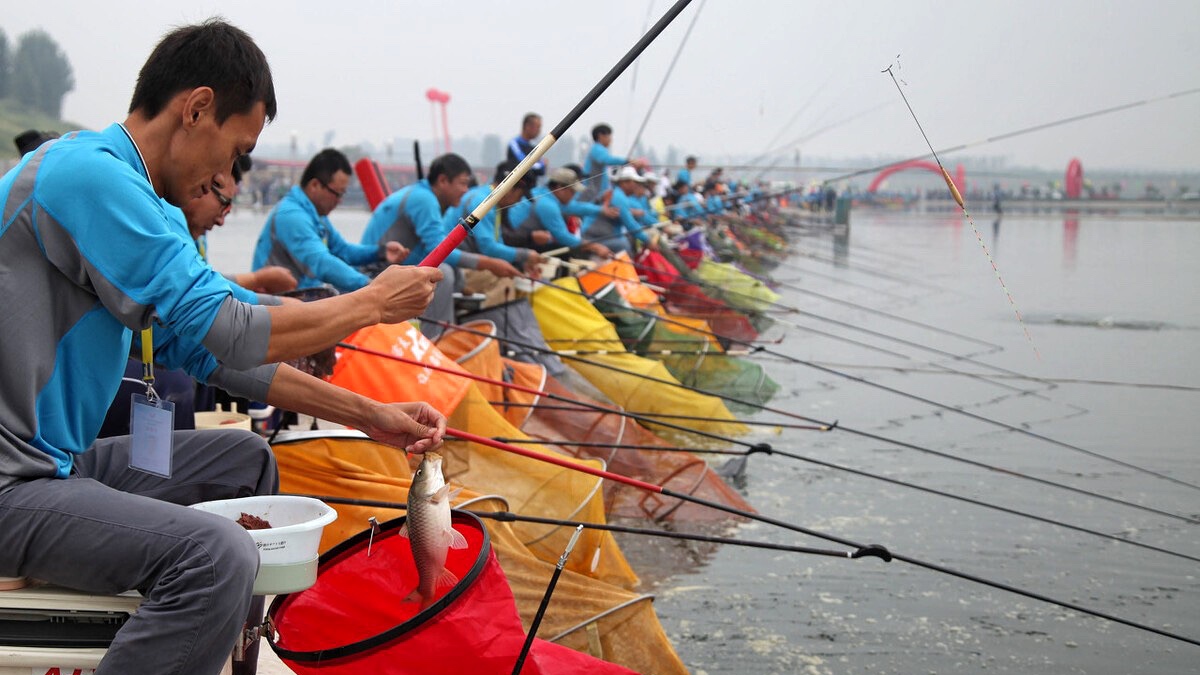 农业农村部|娱乐性垂钓将采取5大举措进行监管，农业农村部：严防钓鱼变捕捞