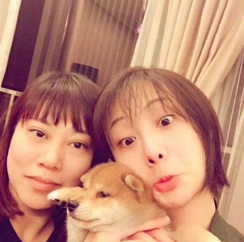 郑爽|郑爽“客串”新剧播出，出场方式很特别，最新近照的状态令人意外