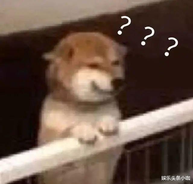 撒贝宁|作天作地，怎么就他不被骂？