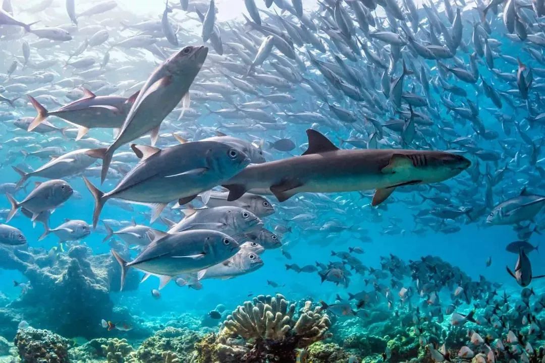 黄渤|“出轨门”12小时后，黄渤深夜「捡垃圾」视频被曝光：原来我们都错怪他了