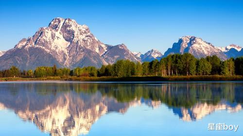 |招上司喜欢，常在升职加薪名单中，纵横职场的生肖