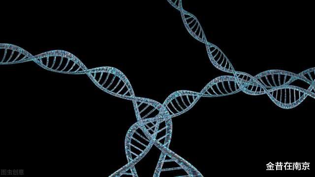 |没有管住下半身，影响了下半生，夏某追悔莫及