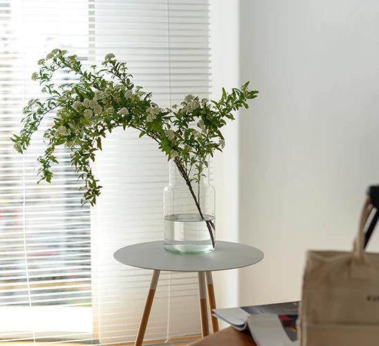 蔡宏志聊时尚|美学家居：用“绿植”装点房间，究竟有多雅致？