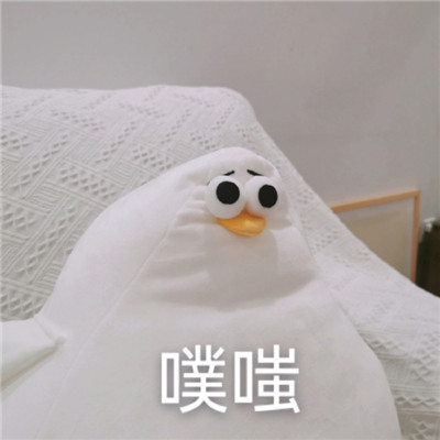 桉月|表情包：你礼貌吗的沙雕表情