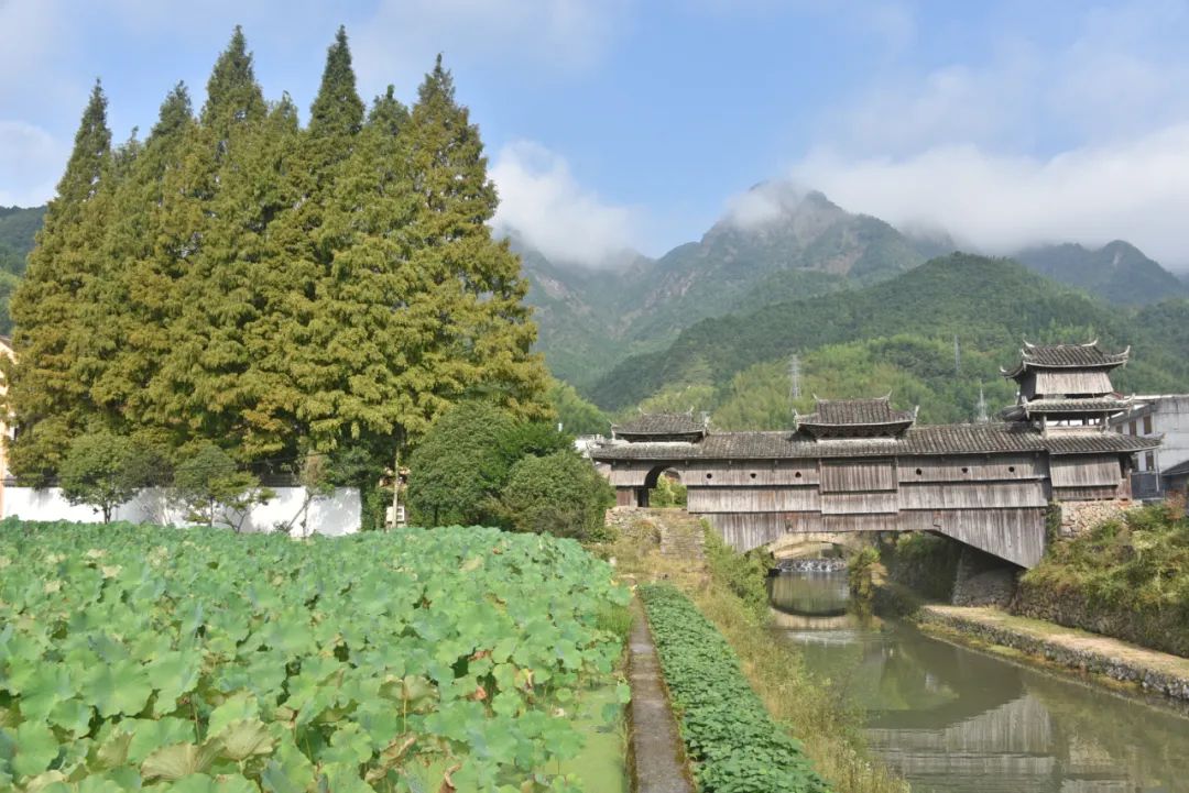 日照|130座廊桥飞架山水之间，这座小县城被誉为中国最美廊桥之乡！