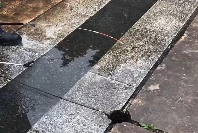 |马路上巴掌大的排水洞钓鱼？没错，一钓就是一桶！钓到大鱼咋办？