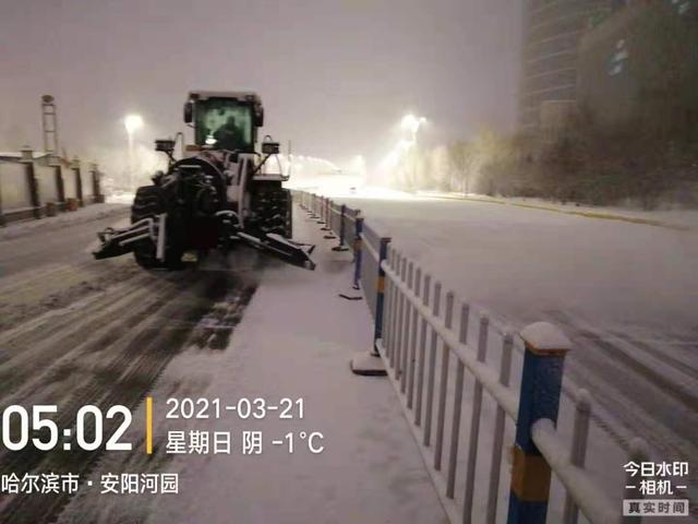 生活报 哈尔滨道里大型机械上道清雪保出行