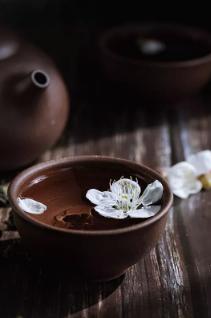 羊城派 【天天养生】花城逢春，赏花更可“尝花”