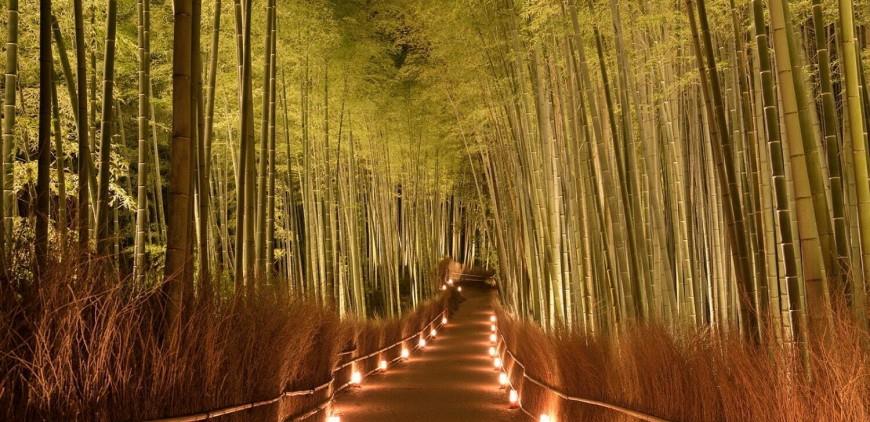 沙滩|「京都岚山花灯路」将停办！渡月桥、竹林小径点灯盛况成绝响？