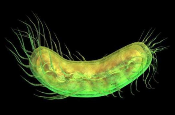 微生物 2.4万年前的生物被“复活”，地球在发出警告，人类未来需警惕