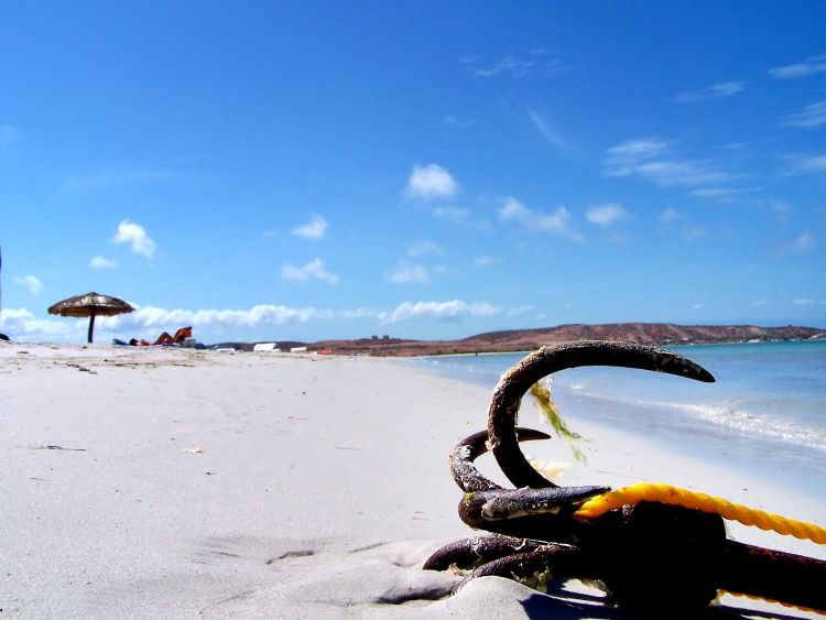 芨芨草001|什么样的男人不能嫁？有这四个特征就得慎重考虑，特别是第四个