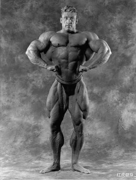 红虎健身 健美史上体型最大的健美运动员TOP10
