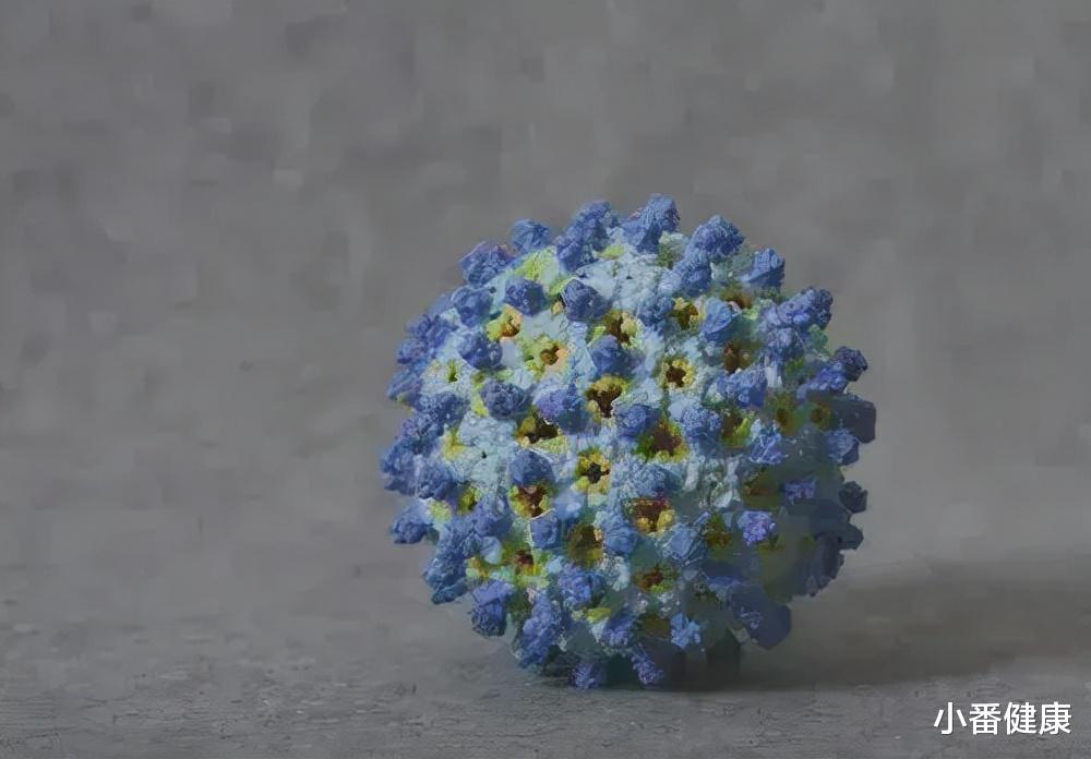 乙肝 乙肝HBc抑制剂，新药研发方向，主要包括2类化合物