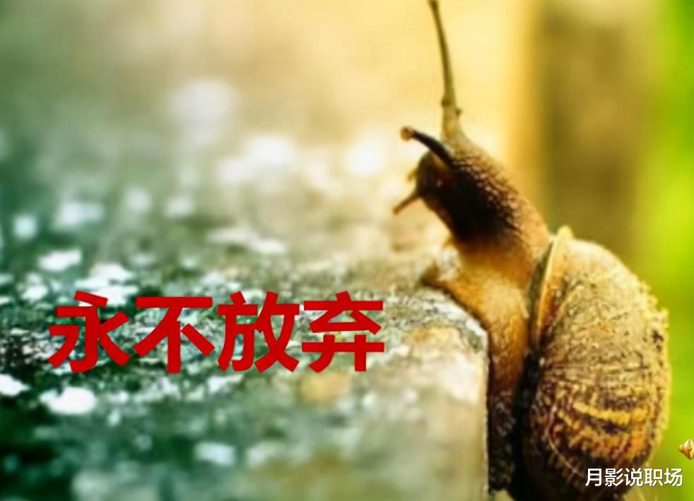 求职|失业33天，我终于有了一份工作，中年人找工作，这3点要牢记