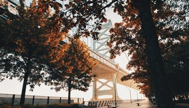 睡眠|如何亲手毁掉一个体制内的年轻人？看完文章你就懂！