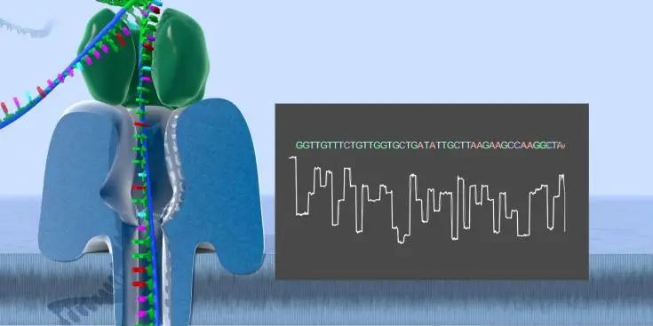南极 大数据时代千帆竞发，三代测序激流勇进