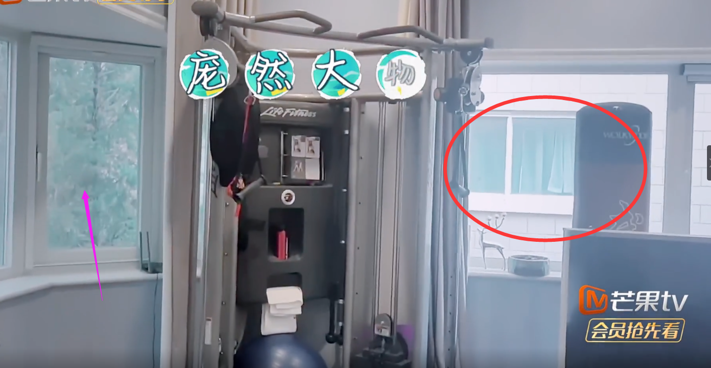 |宁静豪宅引唏嘘！插线板随地扔，客厅被健身器材堆满，浴室就拉个帘？