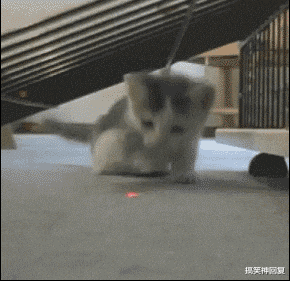 搞笑神回复|搞笑GIF趣图：用头开西瓜的男人