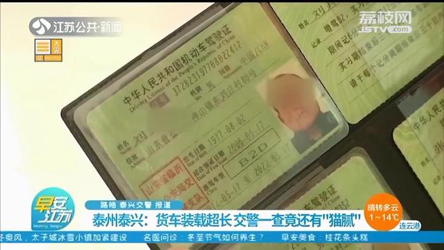 货车装载超长被泰兴交警拦下 一查竟发现更大“猫腻”