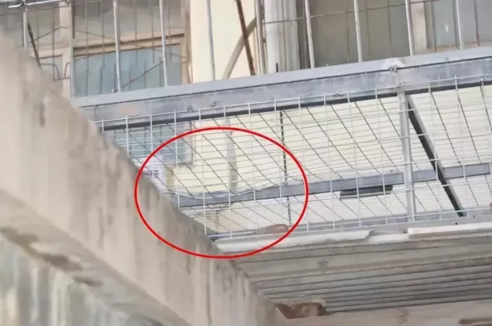 斑馬的育樂園 一女嬰被遺棄在垃圾桶旁，臍帶都沒剪掉？母親一句話惹萬千網(wǎng)友怒罵