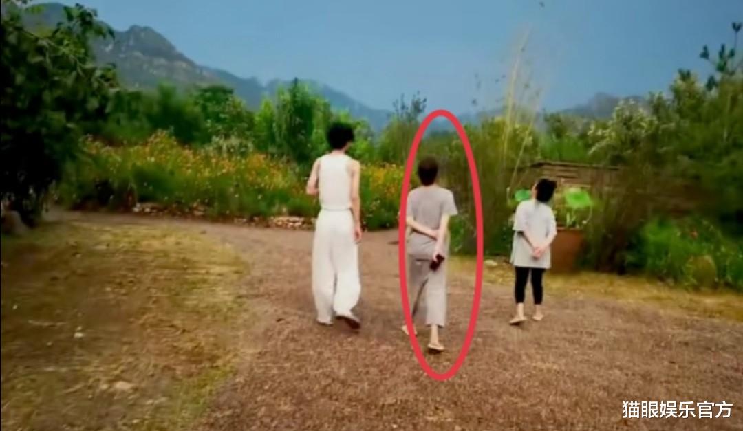 殷桃|殷桃疑已婚？在好友5000平豪宅中约会度假，喊神秘人老公太甜蜜