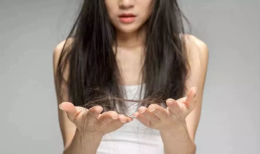 抗癌|气血足百病消,最常见的补气养血之妙法!