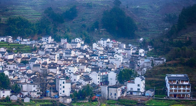 飘雨桐木 安徽巨作出乎意料，曾定位合肥“地标建筑”，却“未开先败”