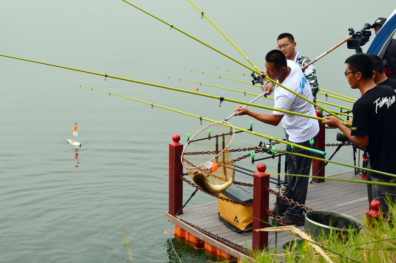 |惊蛰过后、遇到这几种天气，请假也要去钓鱼，大鲫鱼排队咬钩