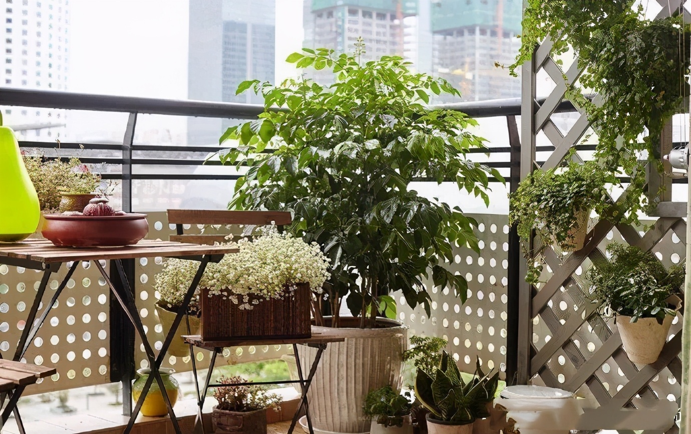 简约风的三居室,简单装修超好看,入户就被餐厅迷住,实用大气