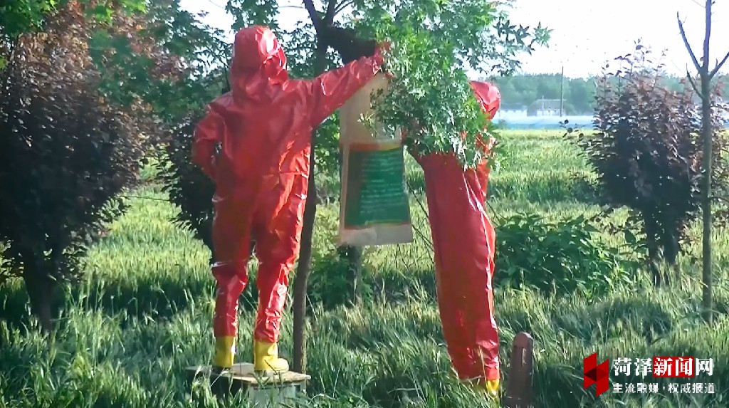 牡丹晚报 山东菏泽：消防解民忧，摘除马蜂窝获民赞