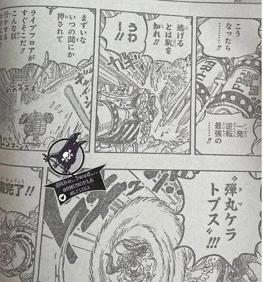 爱红烧肉|海贼王1019话:佐佐木一顿操作猛如虎!结果被弗兰奇一击秒杀?