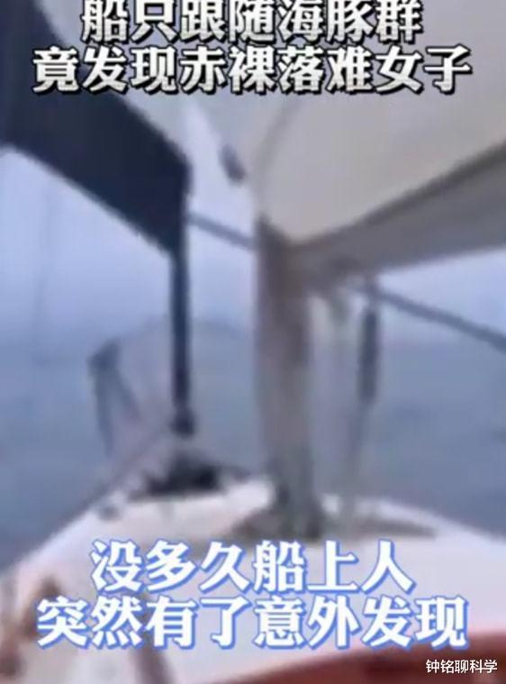 赤裸女子在海中遇险12小时,海豚引导船只救人,海豚为啥会救人?